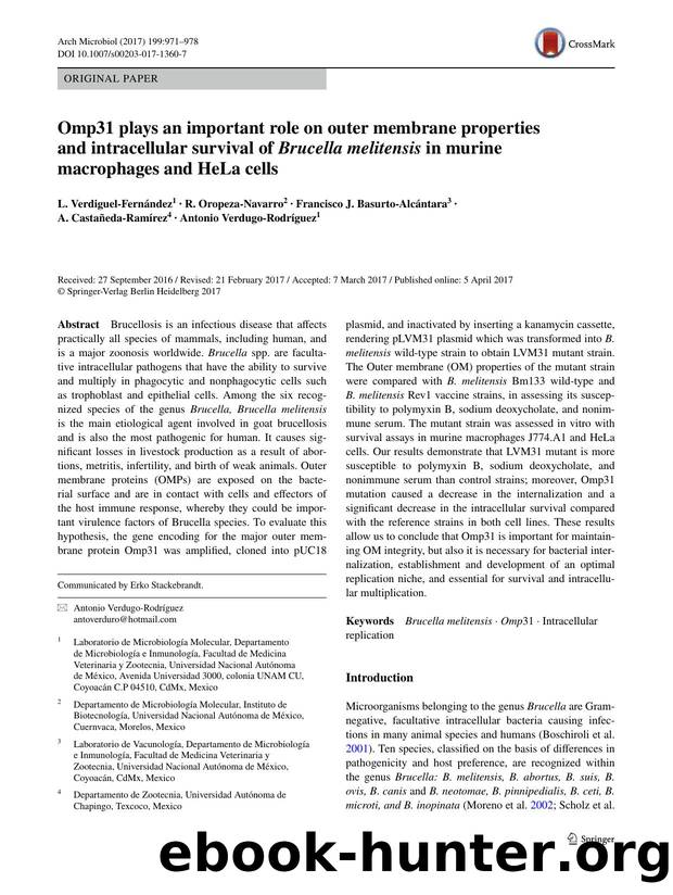 Omp31 plays an important role on outer membrane properties and intracellular survival of Brucella melitensis in murine macrophages and HeLa cells by unknow