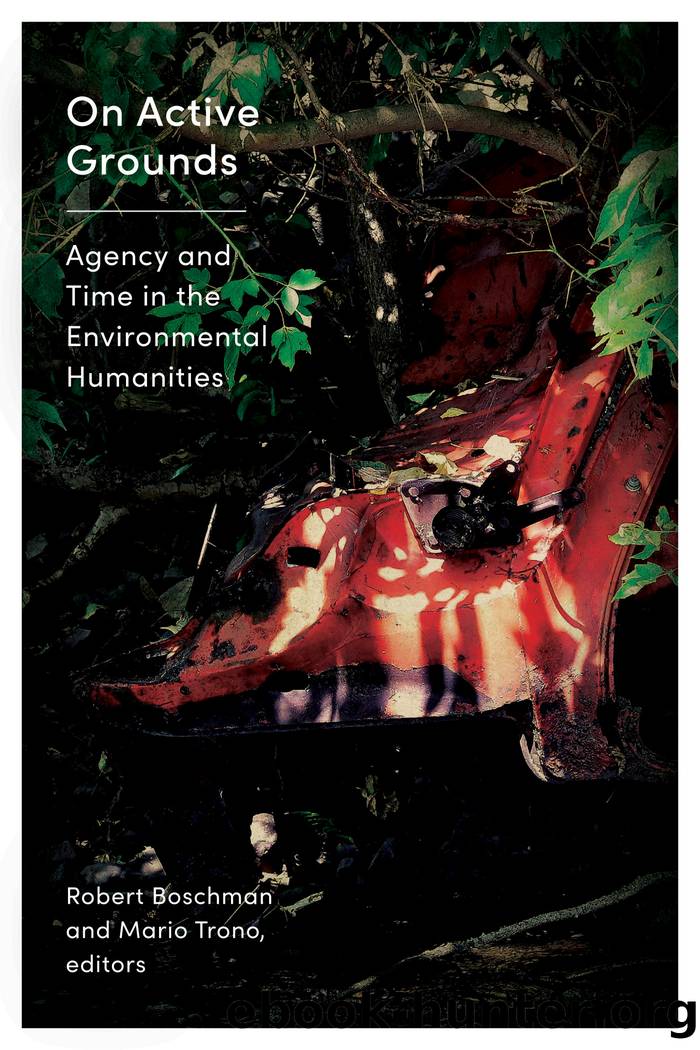 On Active Grounds by Robert Boschman;Mario Trono;