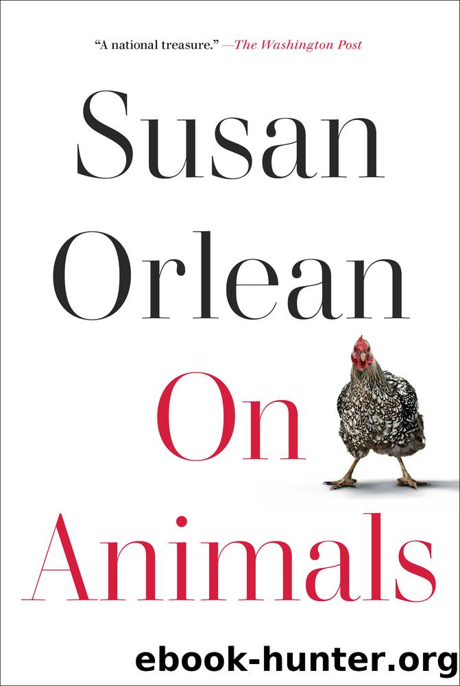 On Animals by Susan Orlean
