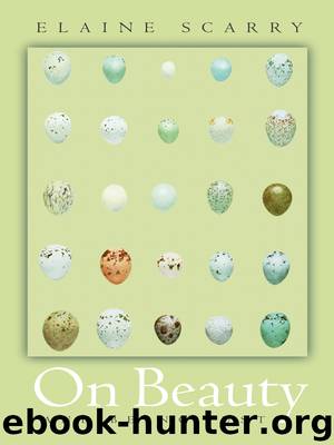 On Beauty and Being Just by Scarry Elaine
