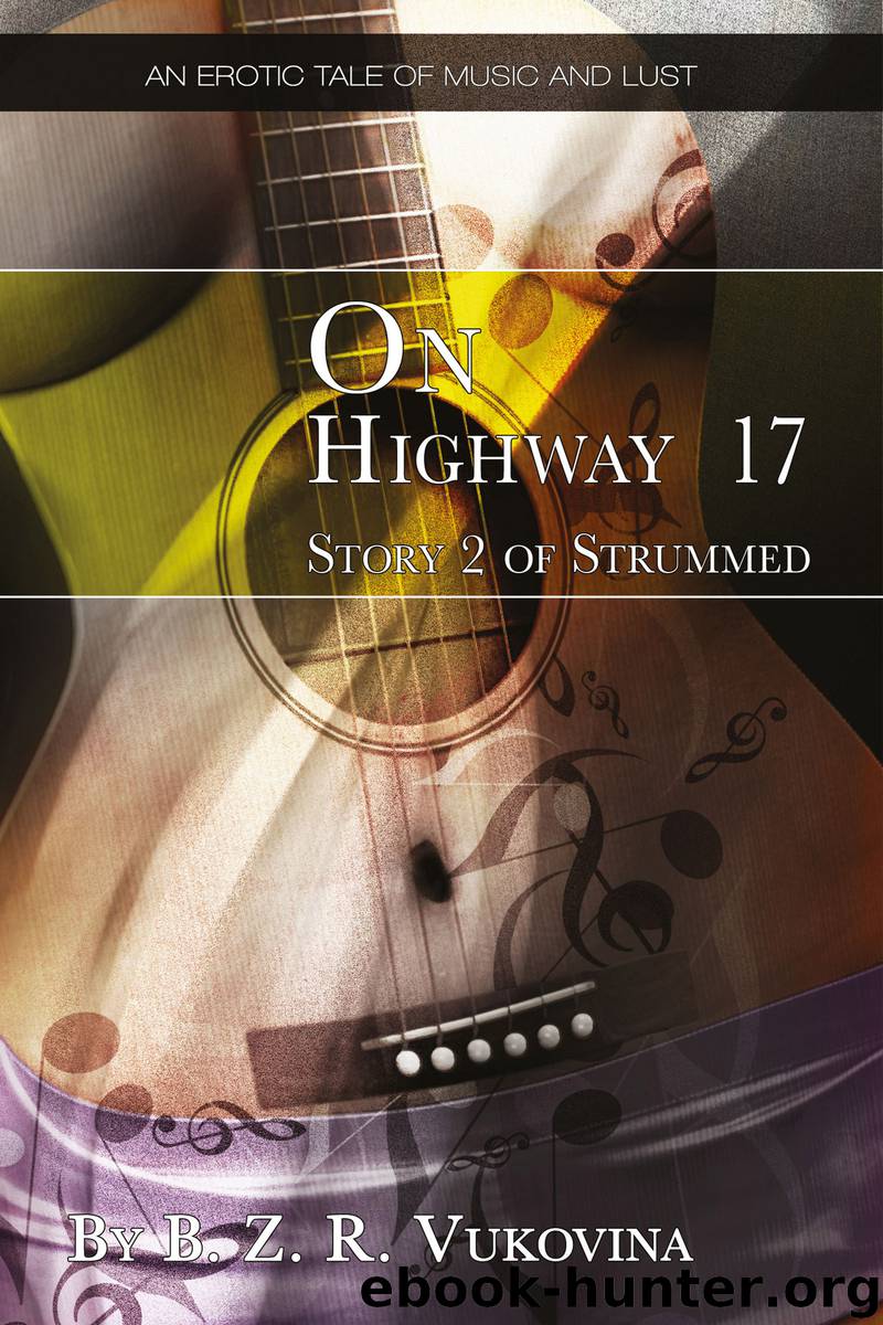 On Highway 17 by B. Z. R. Vukovina