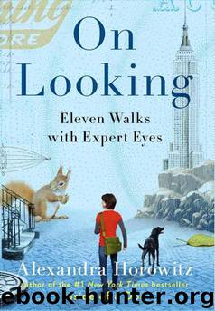 On Looking: Eleven Walks With Expert Eyes by Alexandra Horowitz