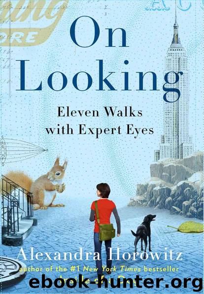 On Looking: Eleven Walks with Expert Eyes by Horowitz Alexandra