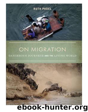 On Migration by Ruth Padel