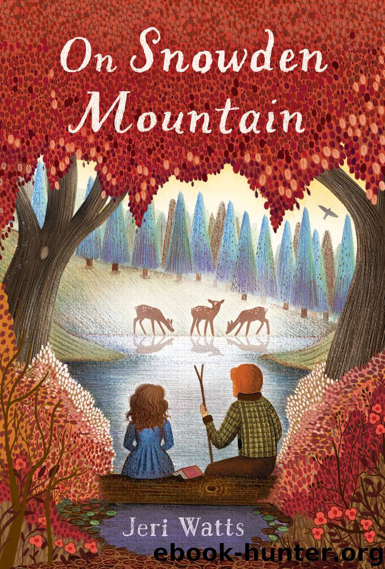 On Snowden Mountain by Jeri Watts