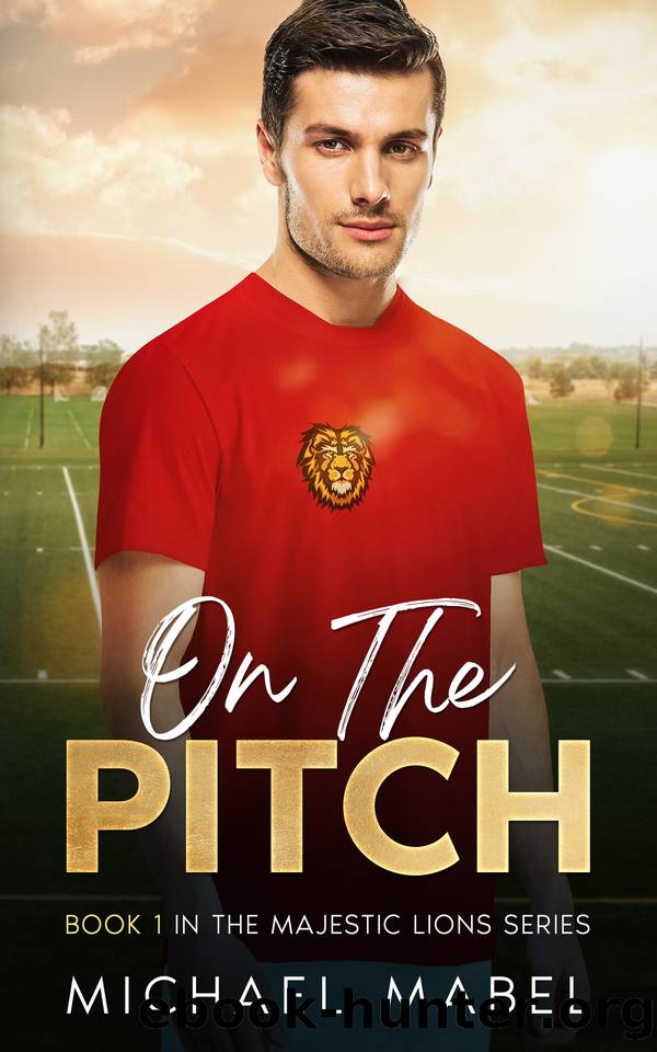On The Pitch: (The Majestic Lions Book 1- An MM Sports Themed, Friends to Lovers Romance) by Michael Mabel