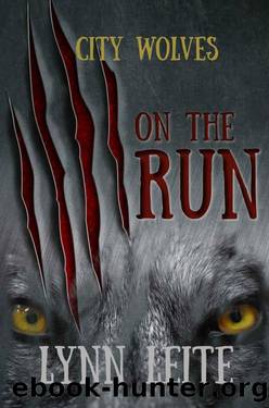 On The RUN by Lynn Leite