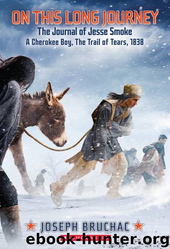 On This Long Journey by Joseph Bruchac
