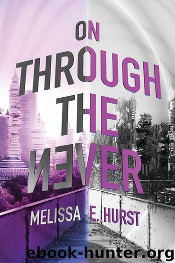 On Through the Never by Melissa E. Hurst