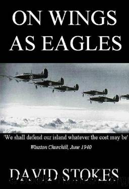 On Wings As Eagles by Stokes David