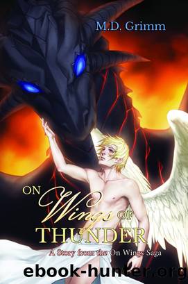On Wings of Thunder (On Wings Saga 1) by M.D. Grimm