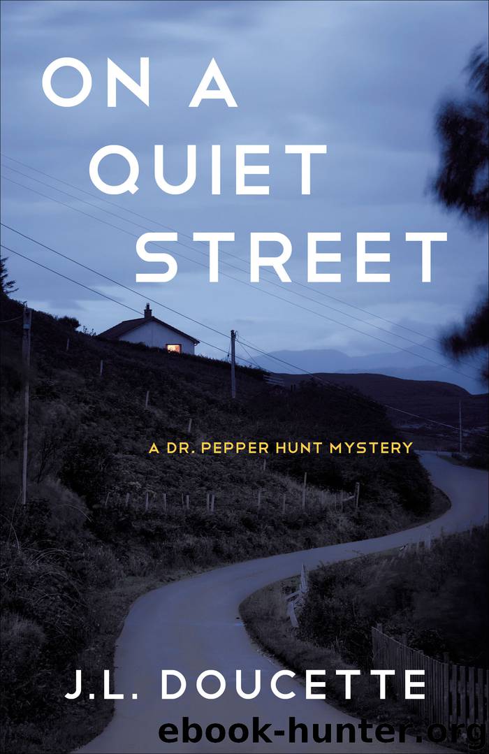 On a Quiet Street by J.L. Doucette
