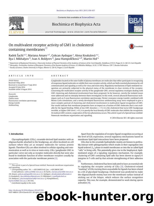 On multivalent receptor activity of GM1 in cholesterol containing membranes by unknow