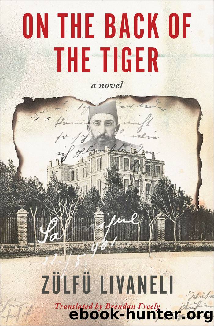 On the Back of the Tiger by Zülfü Livaneli
