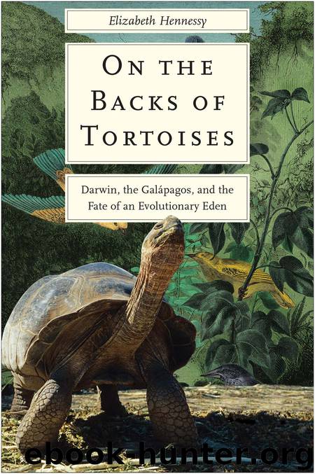 On the Backs of Tortoises by Elizabeth Hennessy