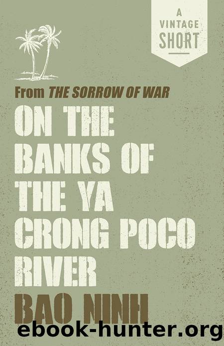 On the Banks of the Ya Crong Poco River by Bao Ninh
