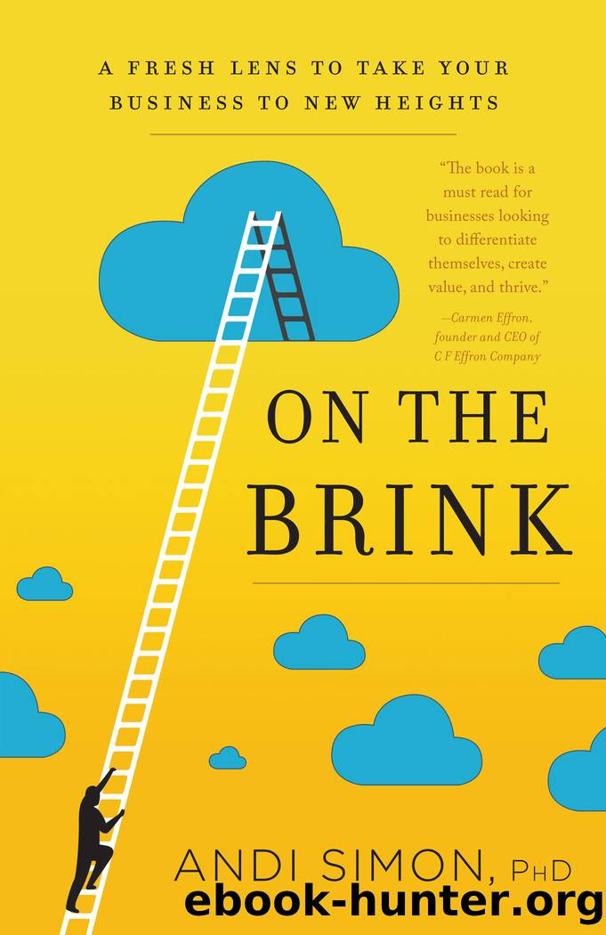 On the Brink by Andi Simon