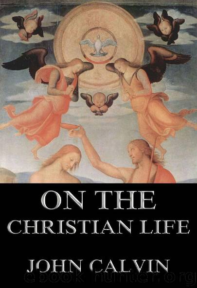 On the Christian Life by John Calvin