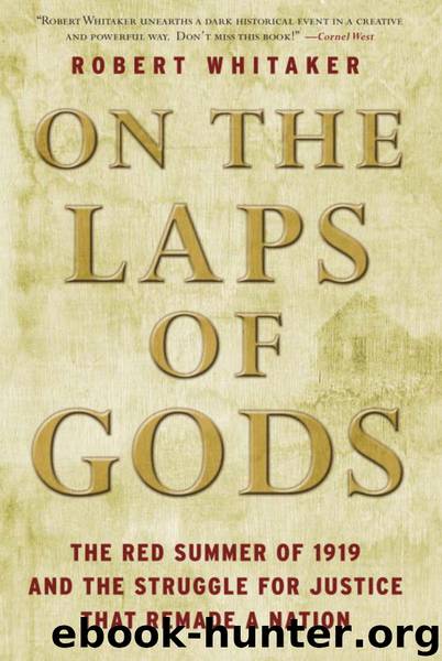 On the Laps of Gods: The Red Summer of 1919 and the Struggle for Justice That Remade a Nation by Robert Whitaker