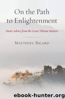 On the Path to Enlightenment by Matthieu Ricard