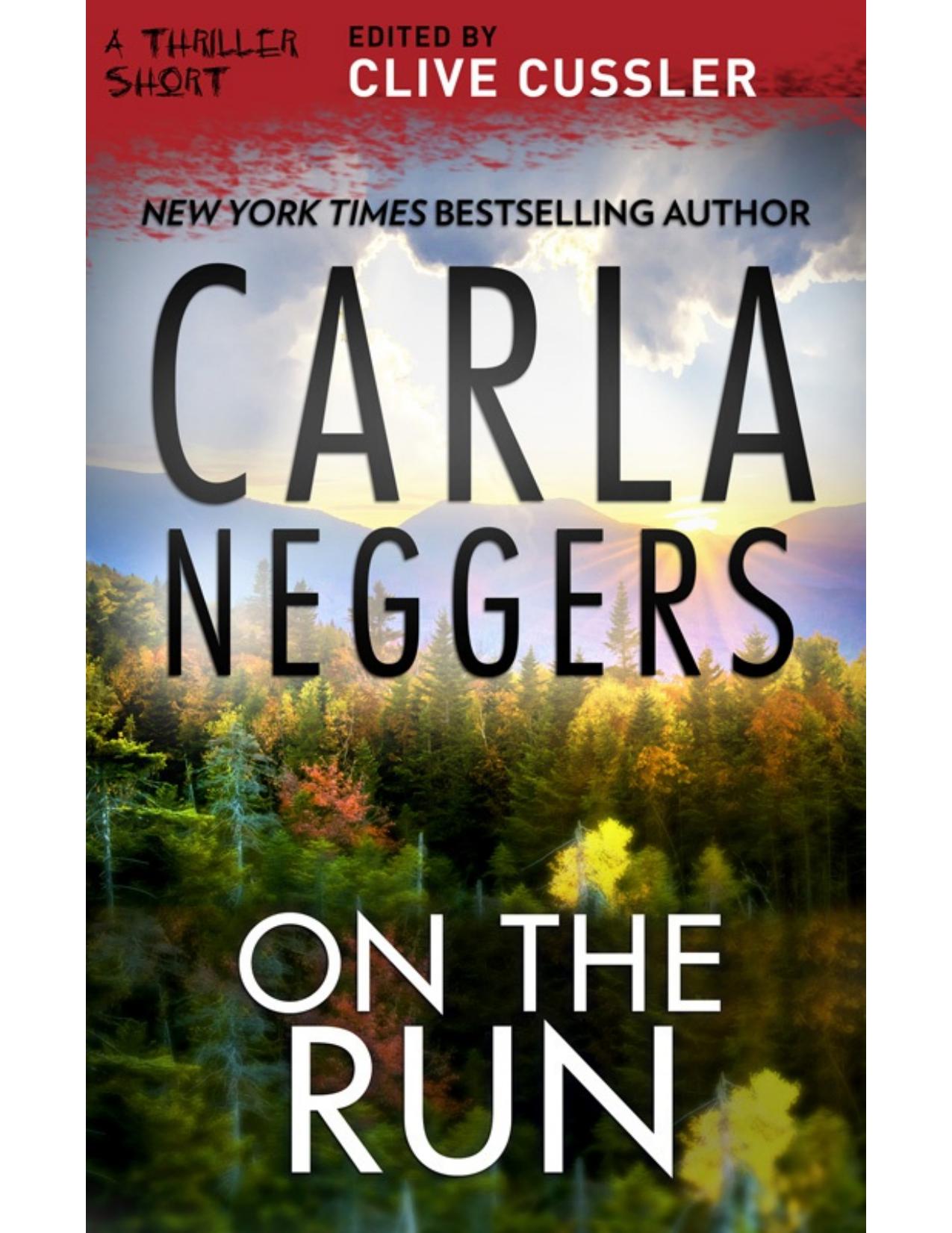 On the Run by Carla Neggers