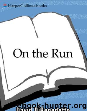 On the Run by David DiBenedetto