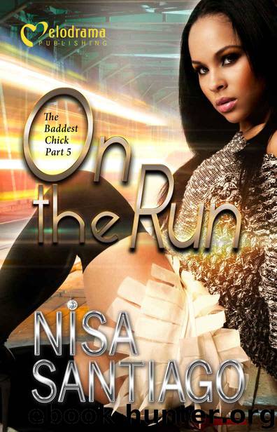 On the Run by Nisa Santiago