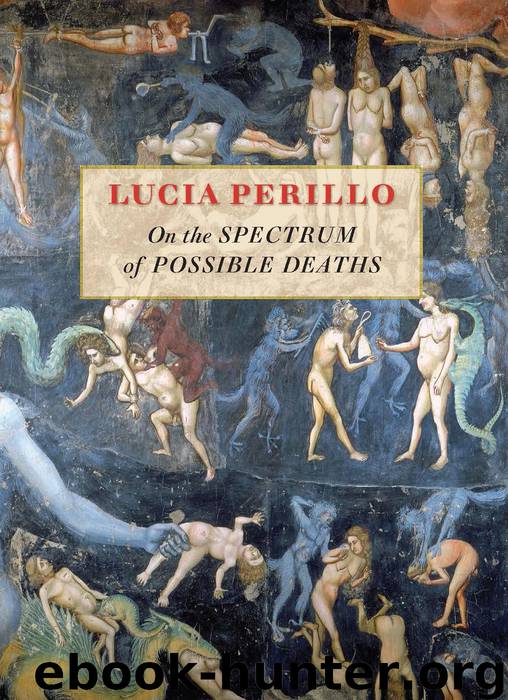On the Spectrum of Possible Deaths by Lucia Perillo