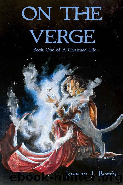 On the Verge (A Charmed Life Book 1) by Joseph Bonis
