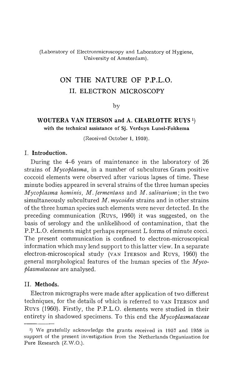 On the nature of P.P.L.O. by Unknown