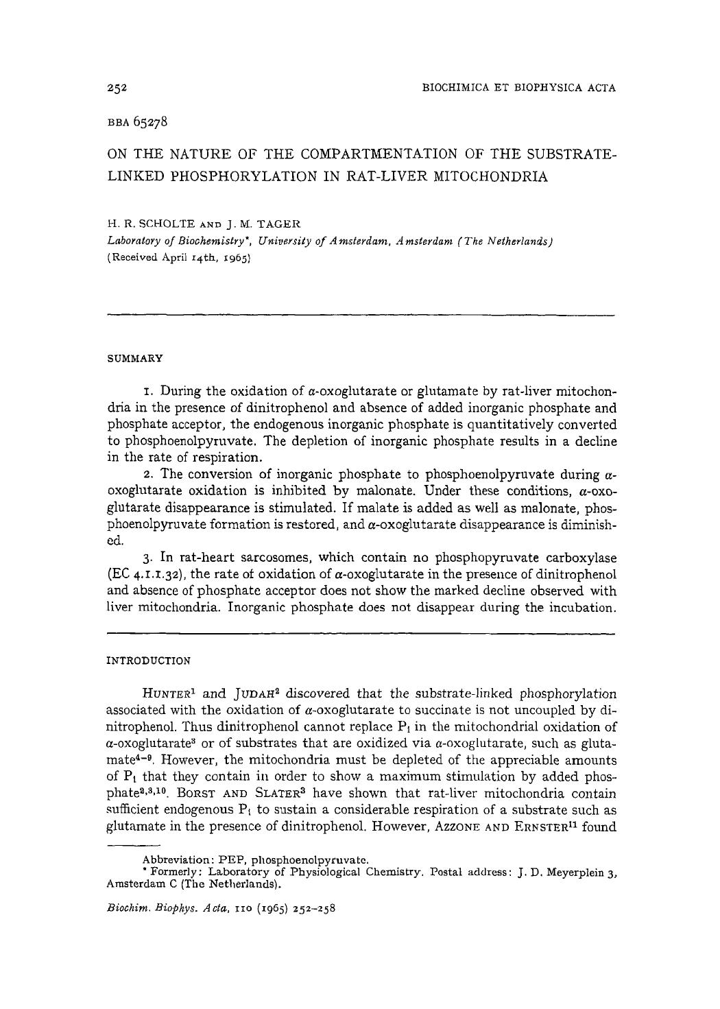 On the nature of the compartmentation of the substrate-linked phosphorylation in rat-liver mitochondria by H.R. Scholte; J.M. Tager