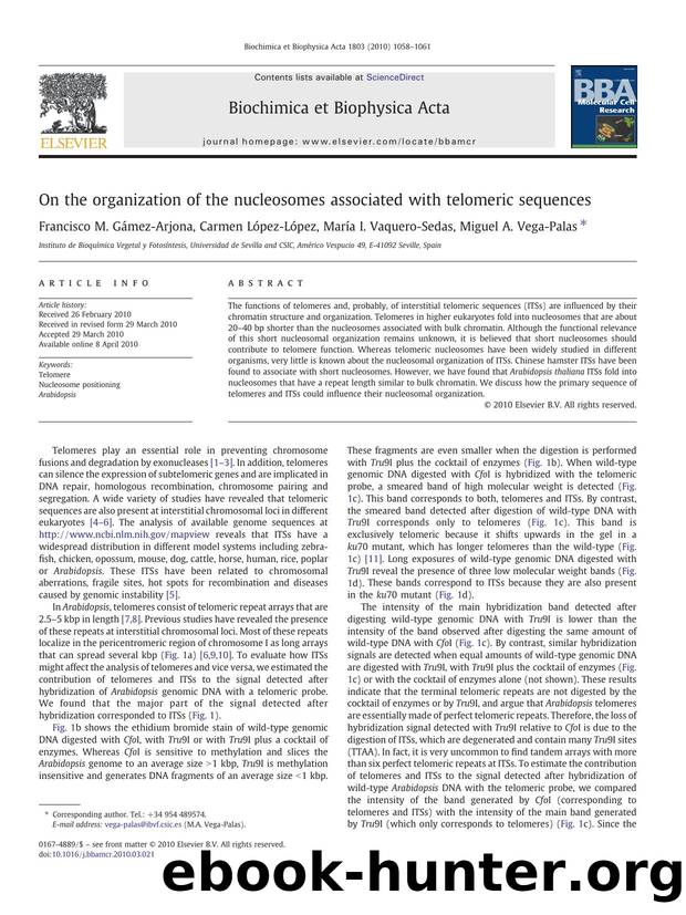 On the organization of the nucleosomes associated with telomeric sequences by Francisco M. Gámez-Arjona & Carmen López-López & María I. Vaquero-Sedas & Miguel A. Vega-Palas