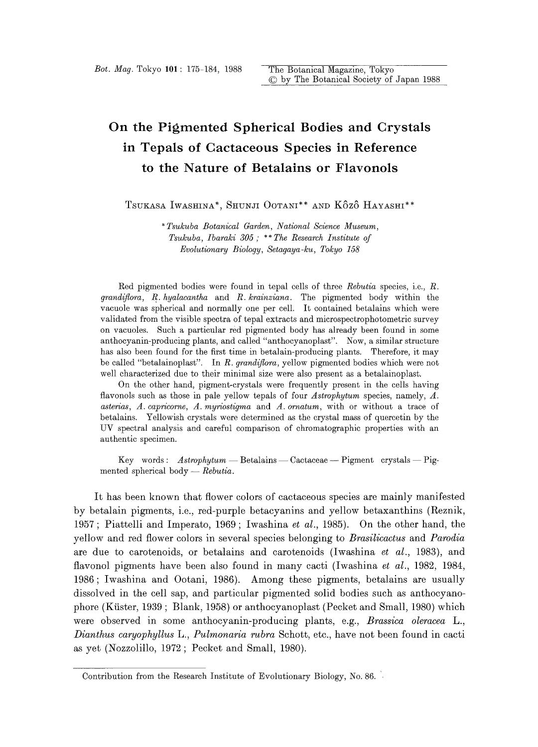 On the pigmented spherical bodies and crystals in tepals of cactaceous species in reference to the nature of betalains or flavonols by Unknown