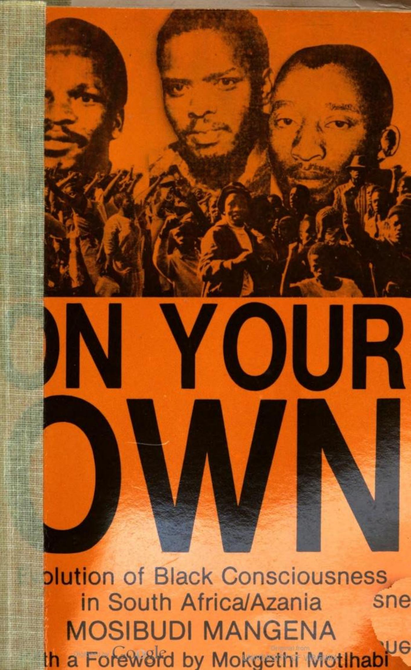 On your own : evolution of Black consciousness in South Africa/Azania by Mosibudi Mangena