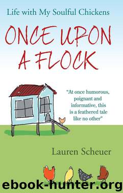 Once Upon a Flock by Lauren Scheuer