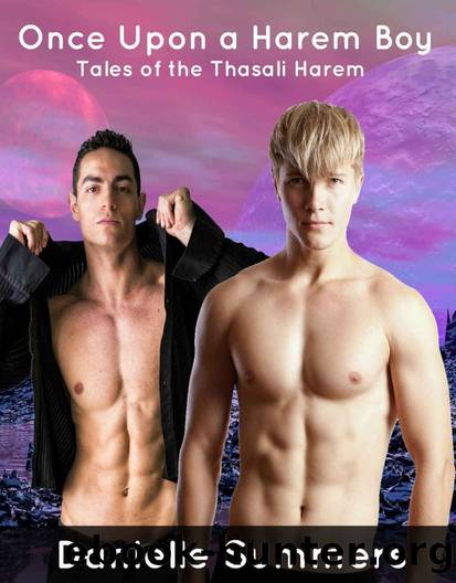 Once Upon a Harem Boy by Danielle Summers