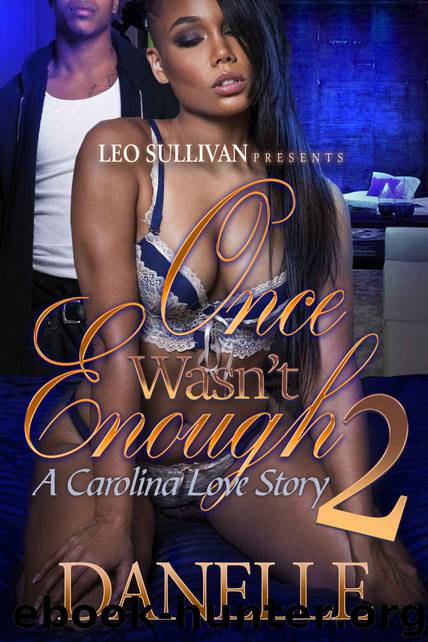 Once Wasn't Enough 2 by Danelle