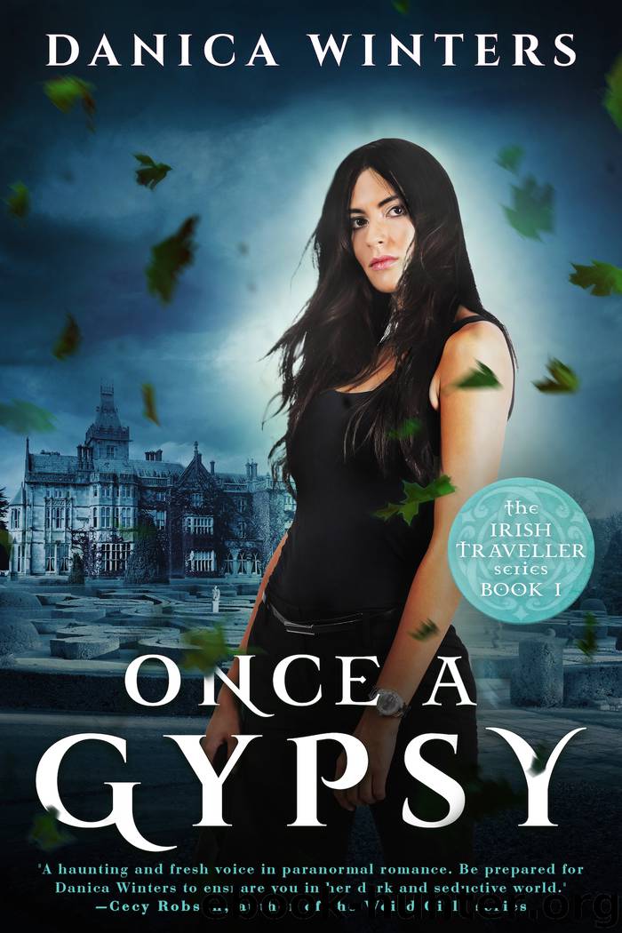 Once a Gypsy by Danica Winters