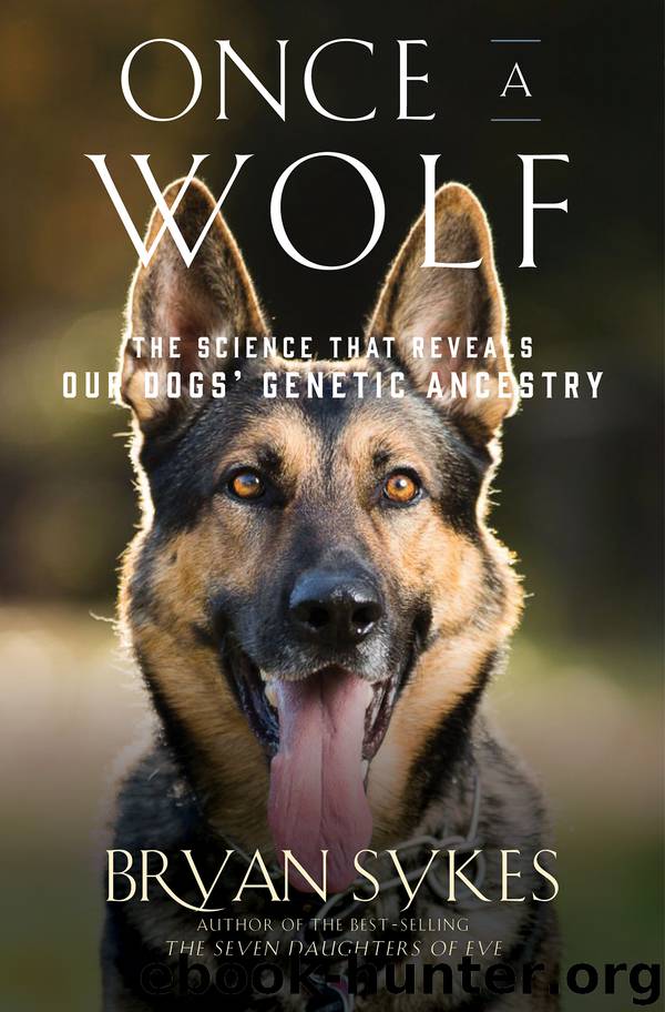 Once a Wolf: The Science Behind Our Dogs' Astonishing Genetic Evolution by Bryan Sykes