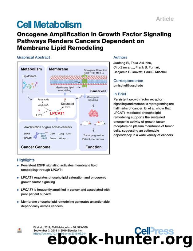Oncogene Amplification in Growth Factor Signaling Pathways Renders Cancers Dependent on Membrane Lipid Remodeling by unknow