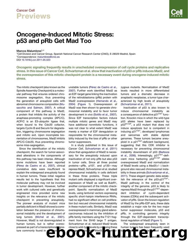 Oncogene-Induced Mitotic Stress: p53 and pRb Get Mad Too by Marcos Malumbres