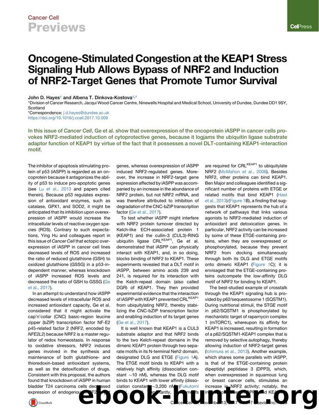 Oncogene-Stimulated Congestion at the KEAP1 Stress Signaling Hub Allows Bypass of NRF2 and Induction of NRF2-Target Genes that Promote Tumor Survival by John D. Hayes & Albena T. Dinkova-Kostova