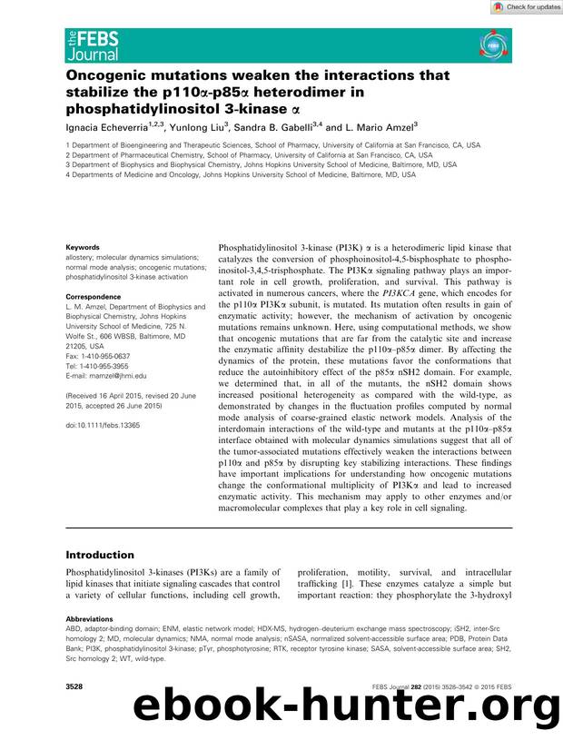 Oncogenic mutations weaken the interactions that stabilize the p110Î±âp85Î± heterodimer in phosphatidylinositol 3âkinase Î± by Unknown
