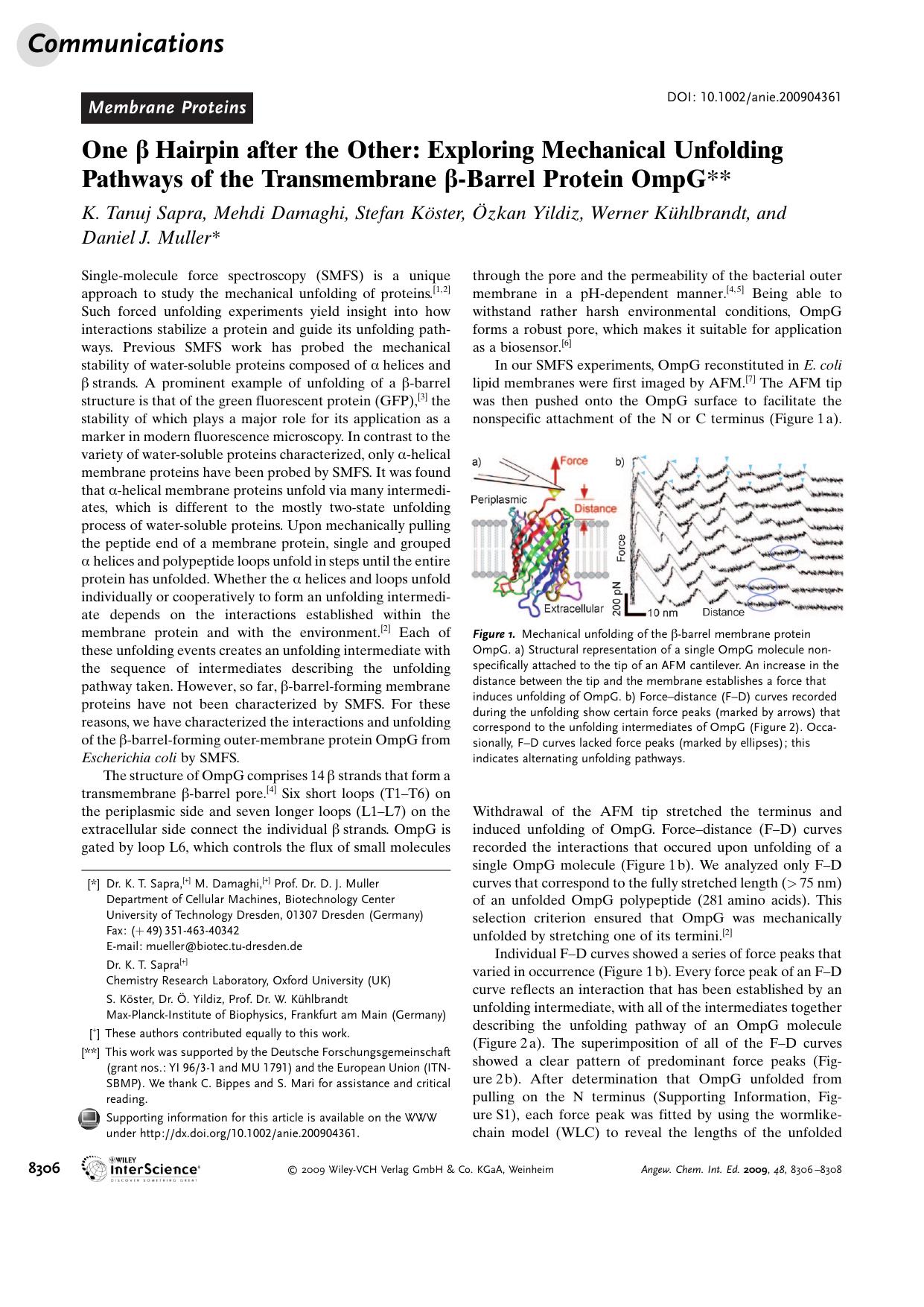 One [beta][emsp14]Hairpin after the Other: Exploring Mechanical Unfolding Pathways of the Transmembrane [beta]-Barrel Protein OmpG by Unknown
