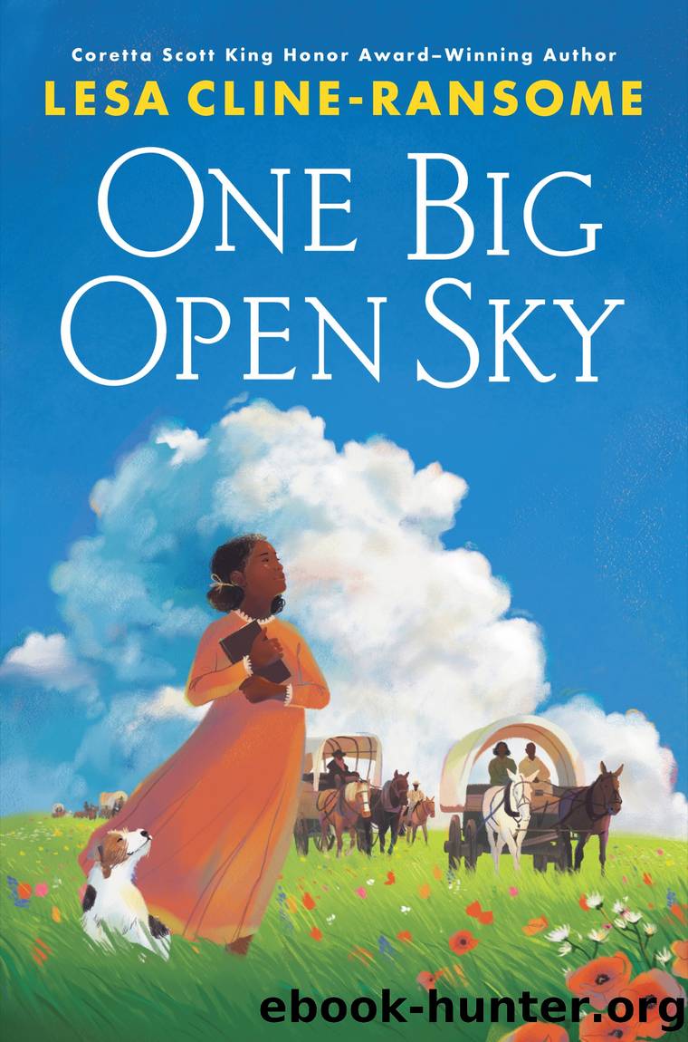 One Big Open Sky by Lesa Cline-Ransome