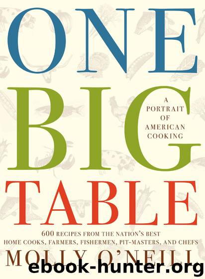 One Big Table: 600 recipes from the nation's best home cooks, farmers, fishermen, pit-masters, and chefs by Molly O'Neill