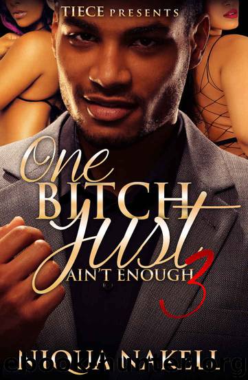 One Bitch Just Ain't Enough 3 by Niqua Nakell