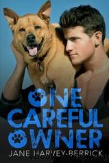 One Careful Owner by Harvey-Berrick Jane