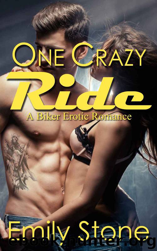 One Crazy Ride: A Biker Erotic Romance (Blue Mustangs MC) by Stone Emily