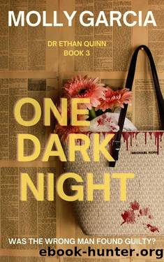 One Dark Night (Dr Ethan Quinn) by Molly Garcia